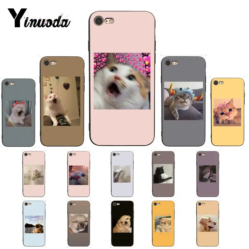 Yinuoda забавная для кошек собак настроение черный мягкий чехол телефона iPhone 11 pro XS MAX