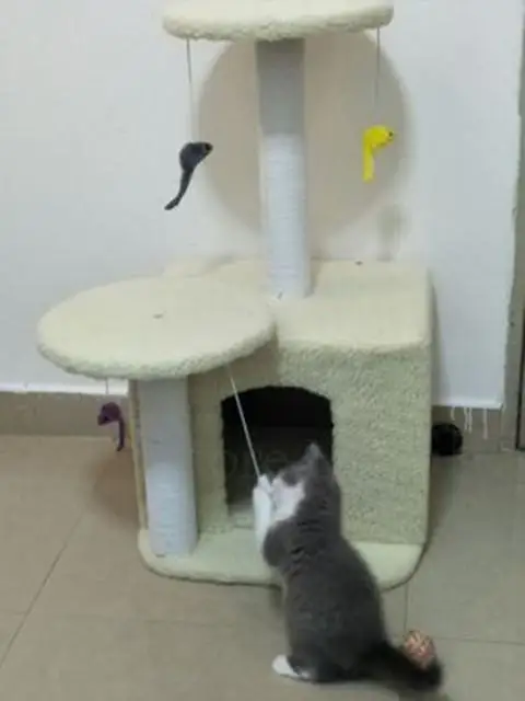 Рамка для кошачьего лазания дерево кошек гнездо игрушка Когтеточка домик | Дом и