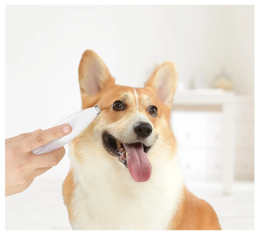 Xiaomi Pet точный триммер кошка Груминг для собачьей шерсти местная бритва уши глаза ноги шов предохранительный резак головы