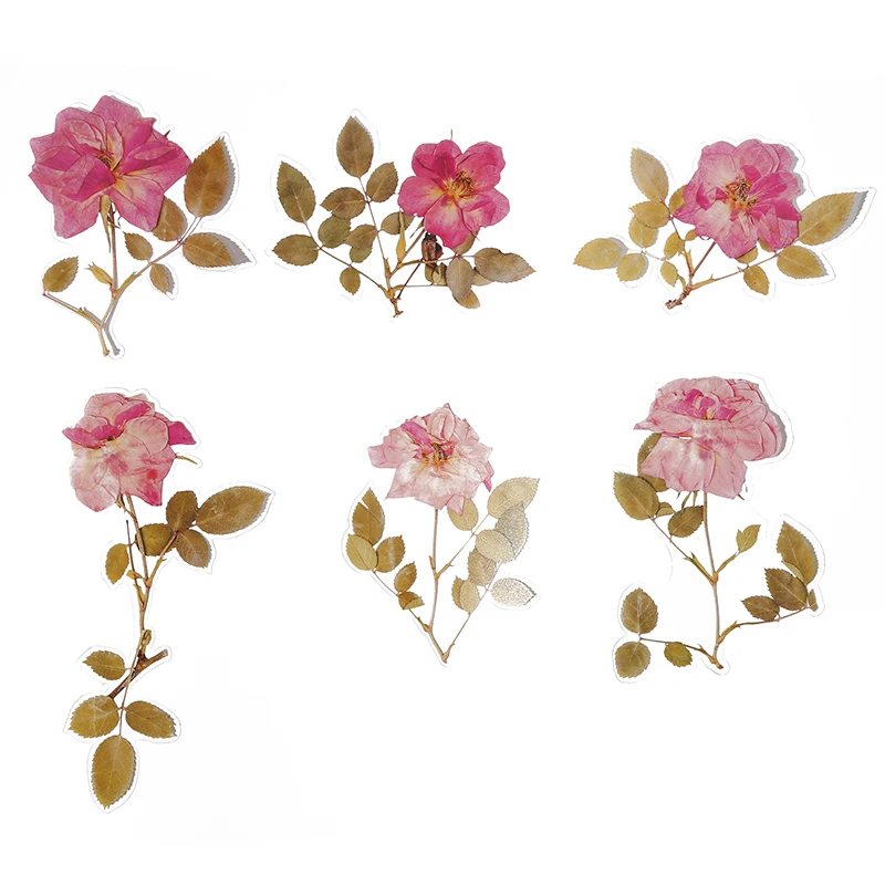 

Window Hand Account Sticker Paper Stickers Weekend Deco Flowers Scrapbooking Stylization Diary Candy Deco DIY Album Stationery