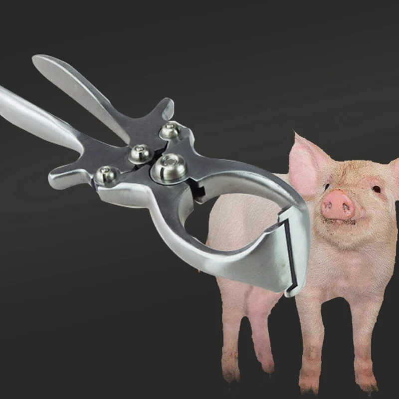 

Hot 1 Pcs Livestock Tools Stainless Steel Without Blood Pig Sheep Castration Clamp Castration Tool Castration Forceps