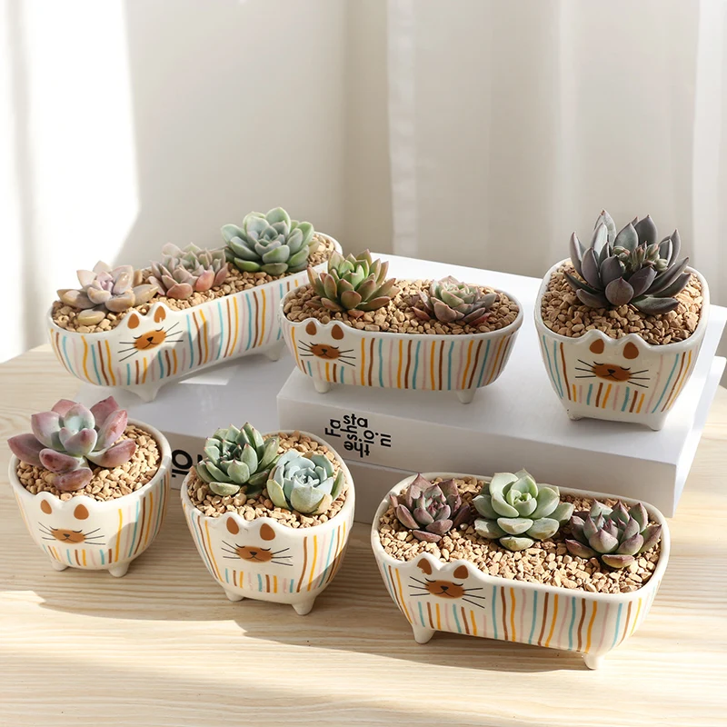 Корейский мультфильм кошка мульти-мясо маленький цветочный горшок Ретро дышащая