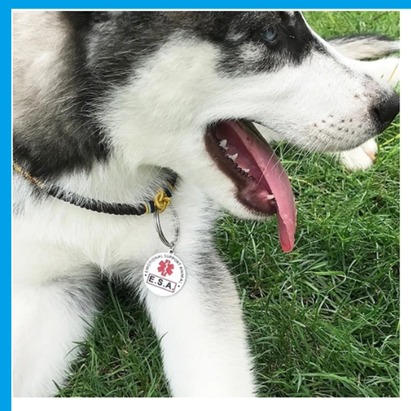 ESA идентификационные бирки для собак с поддержкой круглая бирка из нержавеющей