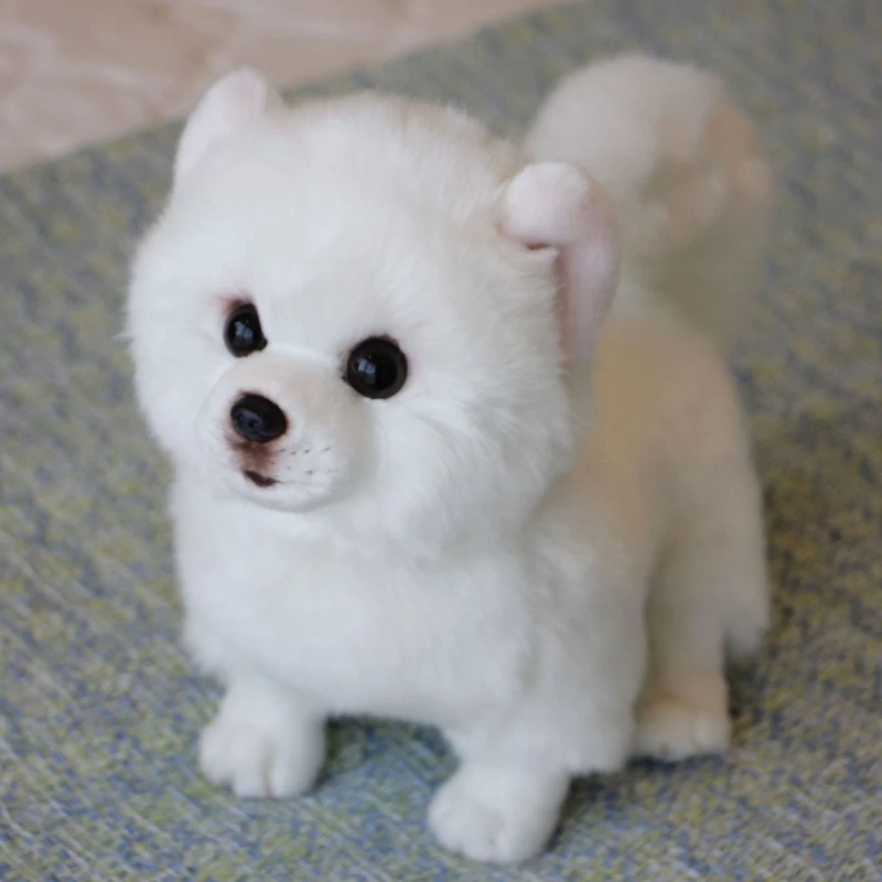 

High-Quality Handmade Simulation Pomeranian Dog Toy Doll Stuffed Plush Animal