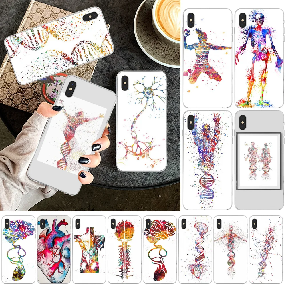 BaweiTE DNA TPU прозрачный чехол для телефона Корпус iPhone 11 pro XS MAX 8 7 6 6S Plus X 5 5S SE
