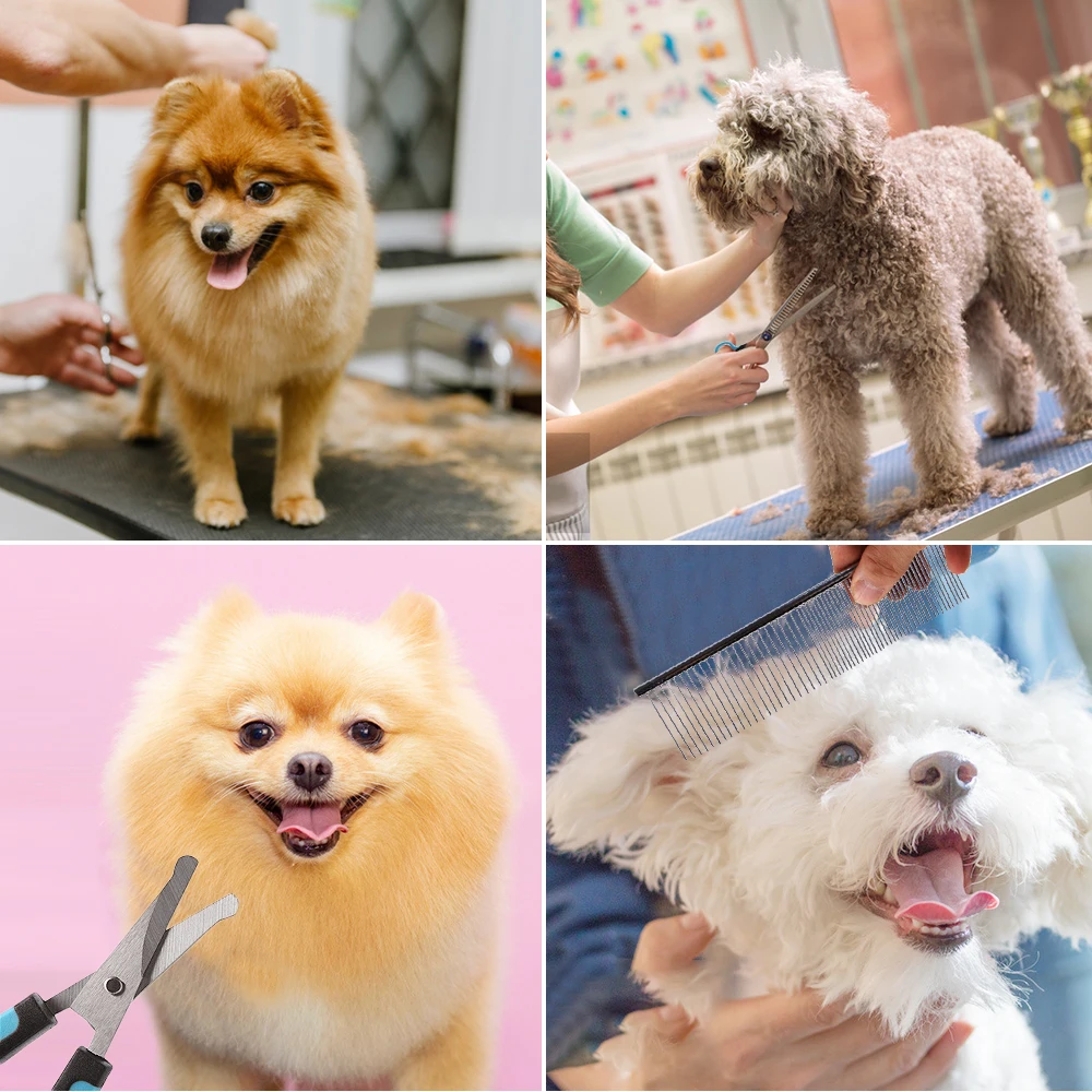 

5PCS Stainless Steel Pet Grooming Scissors Dog Cat Hair Thinning Shear Pet Scissors Comb Cutting Tools