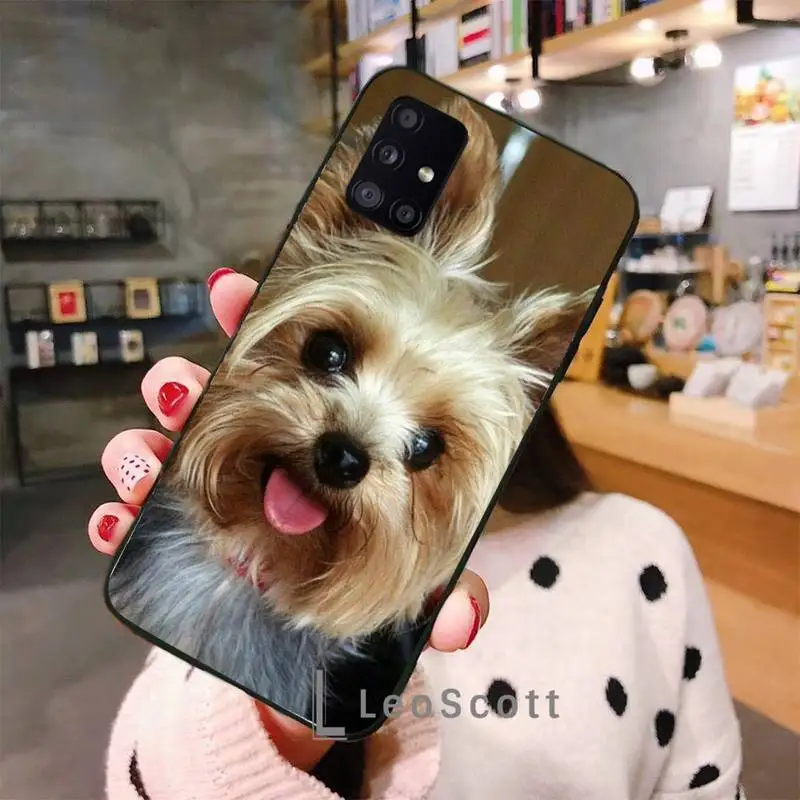 

Mini Yorkshire Terrier Phone Case For Samsung A40 A50 A51 A71 A20E A20S S8 S9 S10 S20 Plus note 20 ultra 4G 5G