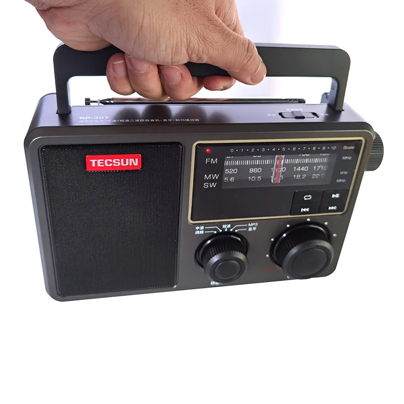Tecsun RP307 WAV APE FLAC Bluetooth динамик портативный FM SW MW Радио USB TF SD карта MP3 плеер радио |