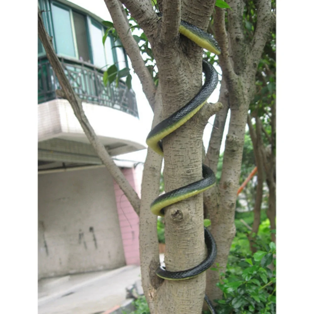 

Realistic Snake Spooky Pest Creepy Prank for April Fool's Day