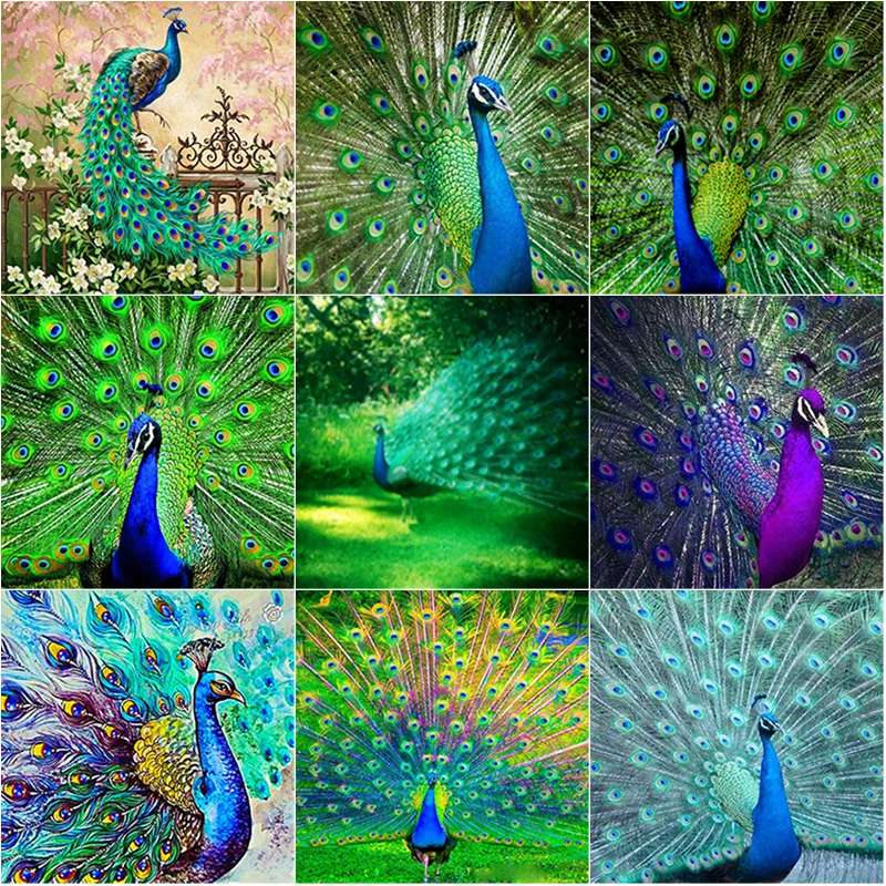 

5D DIY Diamond Painting Animal Scenery Cross Stitch Peacock Diamond Embroidery Full Square Round Drill Home Decor Manual Gift