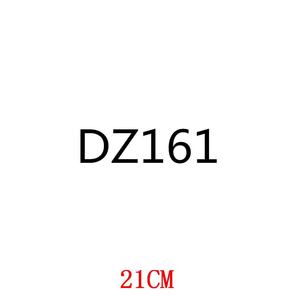 

DZ161-21