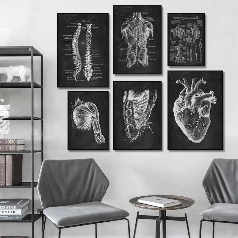 

Human Anatomy Artwork Skeleton Organ Medical Clinic Canvas Painting Prints and Posters Wall Art Picture Room Decor (No Frame)