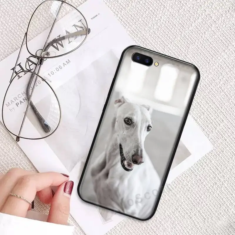 

Cute Galgo Greyhound Dog pet Phone Case For OPPO R9 R11 R15 R17 RENO Realme S PLUS Normal 2z 3 5 C2 pro Cover Funda Shell