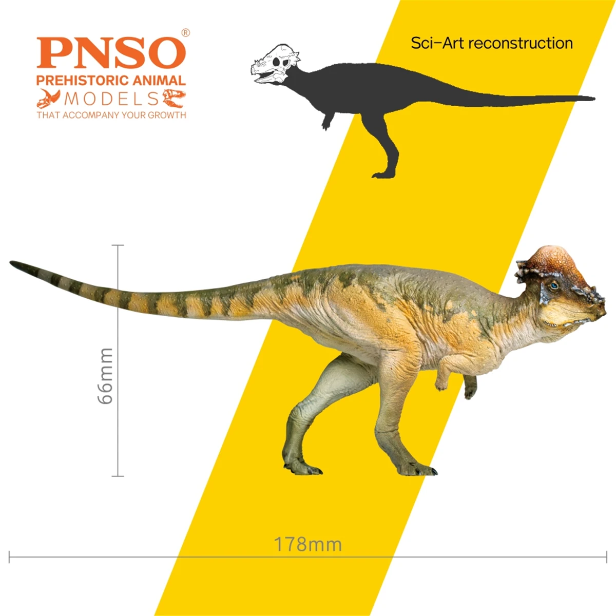 В наличии! PNSO фигурка пахицефалозавра Остина стигинолоч модель динозавра