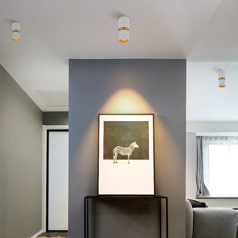 

1pcs Dimmable Unique LED Downlight Surface Mounted Lamp 7W 10W 12W15W COB LED Ceiling Spot Lights AC110-220V LED Indoor lighting