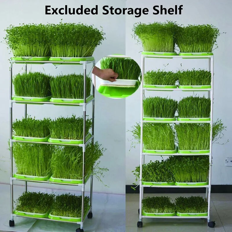 Поднос для рассады семян пластиковый горшок прорастания растений подносы