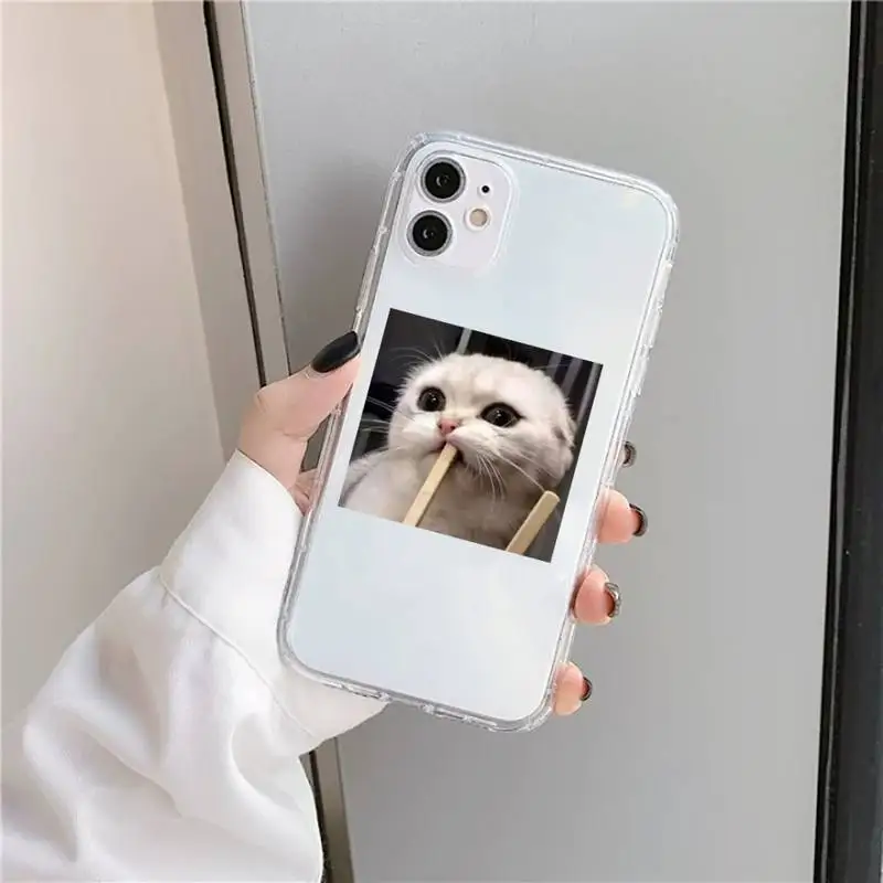 

Cute Cat Phone Case Transparent for iPhone 11 12 mini pro XS MAX 8 7 6 6S Plus X 5S SE 2020 XR