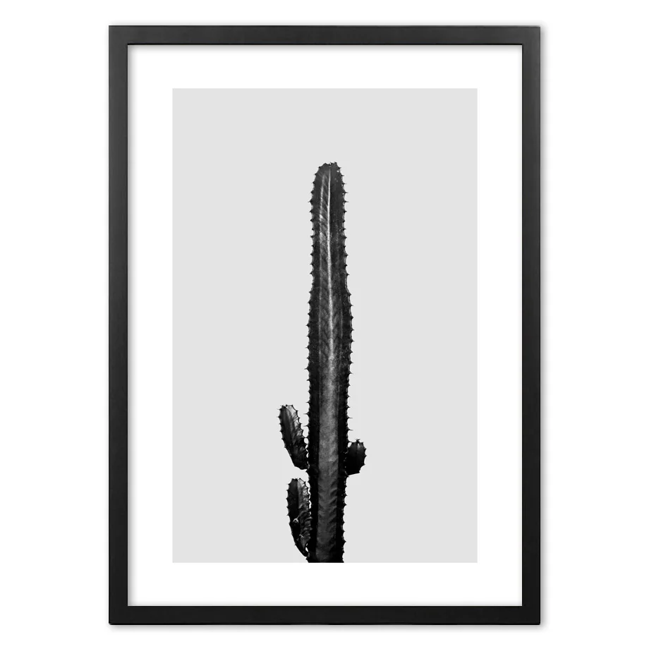 Черно белый кактус фотографии стены искусства бумага живопись пейзаж настенные