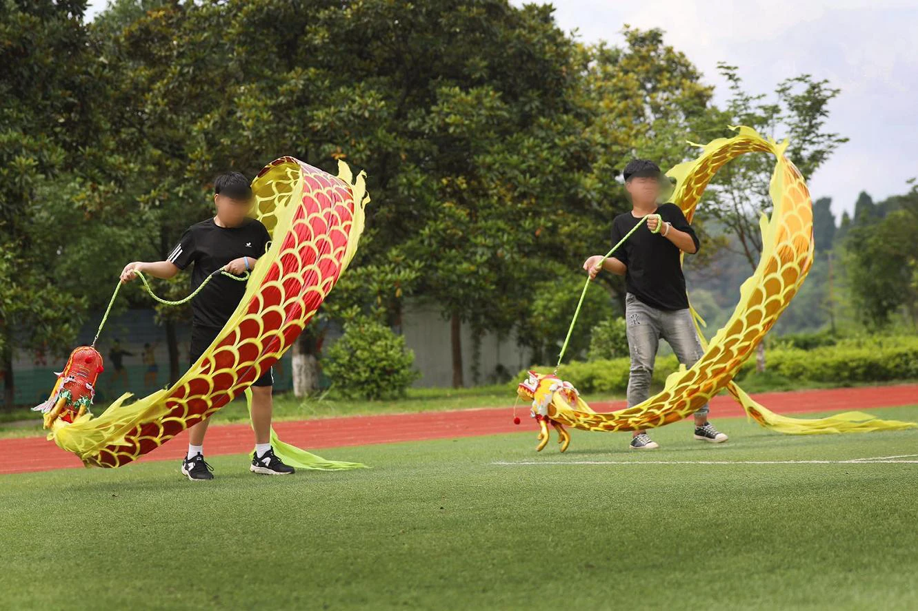Классические спортивные упражнения для фитнеса и активного отдыха Golden 6M Dragon Dance
