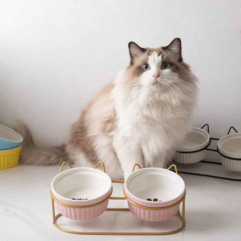 

Cat Double Food Bowls Pet Dog Eating Drinking Feeders Puppy Kitten Two Ceramics Bowls With Stand Cats Food Water Dish