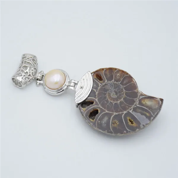 pearls 1 шт. настоящий аммонит Морская раковина фиолетовый розовый кристалл кварца тигровый глаз Чарм, подвеска из камня для женщин и мужчин ожерелье Модные ювелирные изделия - Окраска металла: pearls