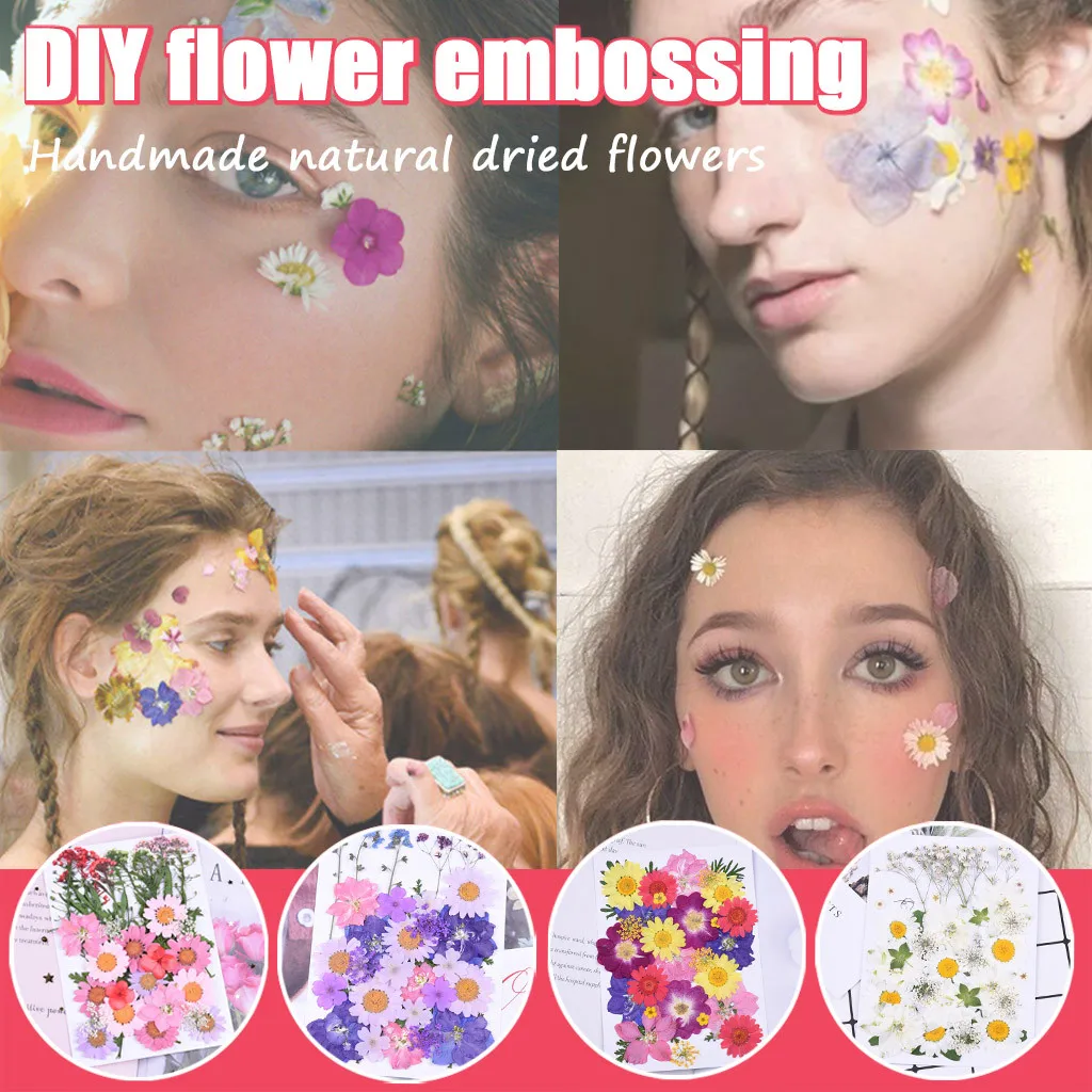 Натуральные сухие цветы комбинации DIY прессованных гербарий с украшением в виде