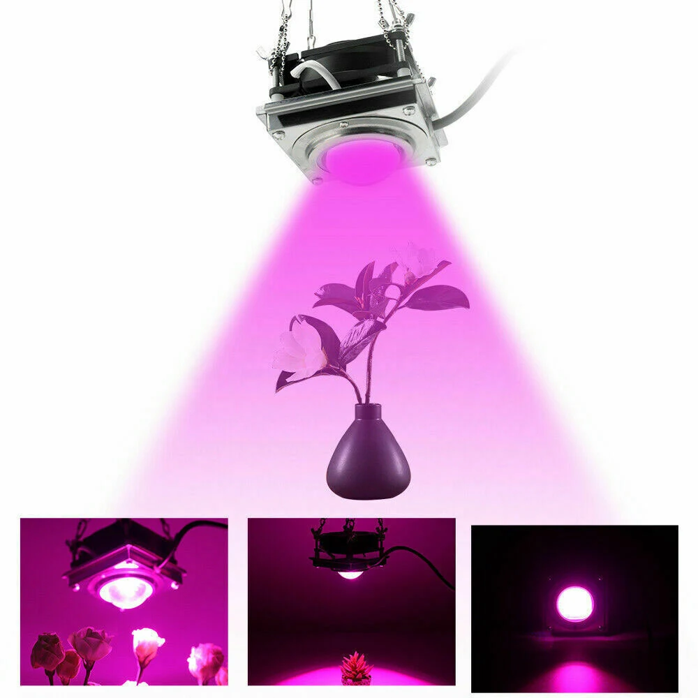 

LED Grow Light 4000k Full Spectrum LED Growing Lamp For Indoor Veg Seed Plant Growth Lighting Garden Plant Growth Lighting