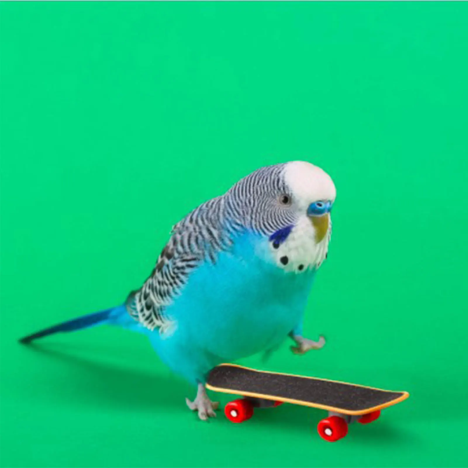 Набор игрушек попугай Интерактивная мини-Тележка для покупок скейтборд