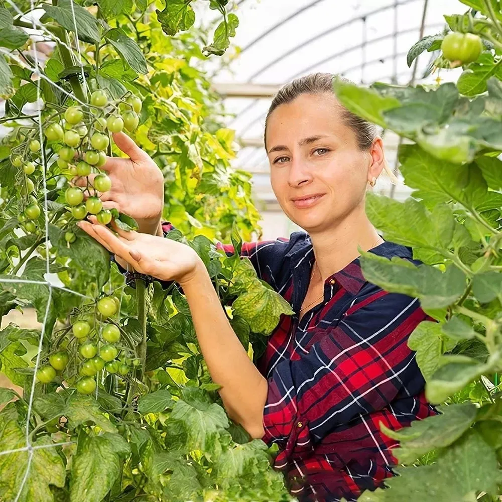 Heavy-duty Polyester Garden Lattice Net Plant Climbing Net Suitable For Planting Vine Plants Vegetables Fruits And Flowers