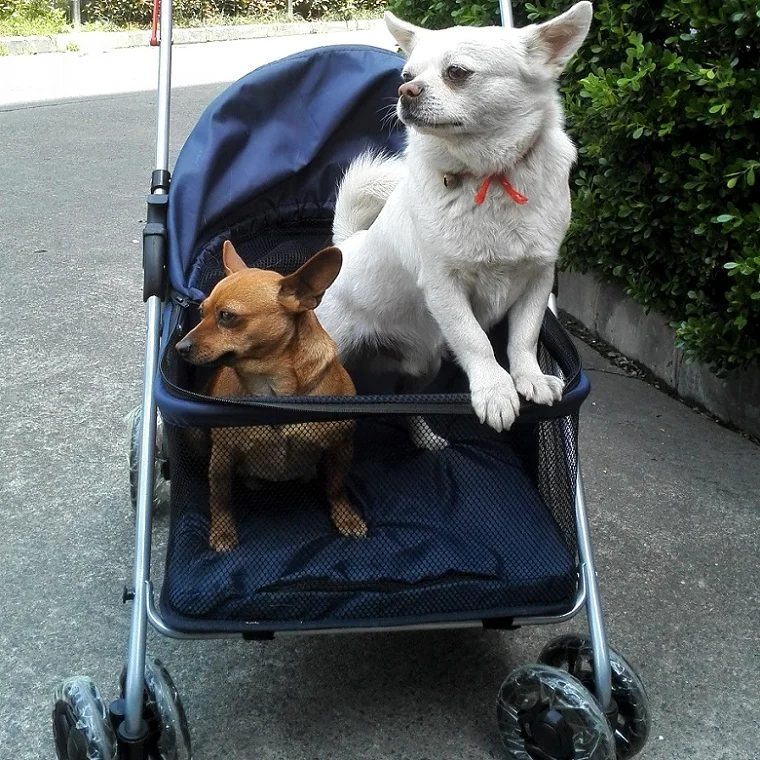 20 кг Складная собачья кошка коляска для питомцев большое пространство дышащие