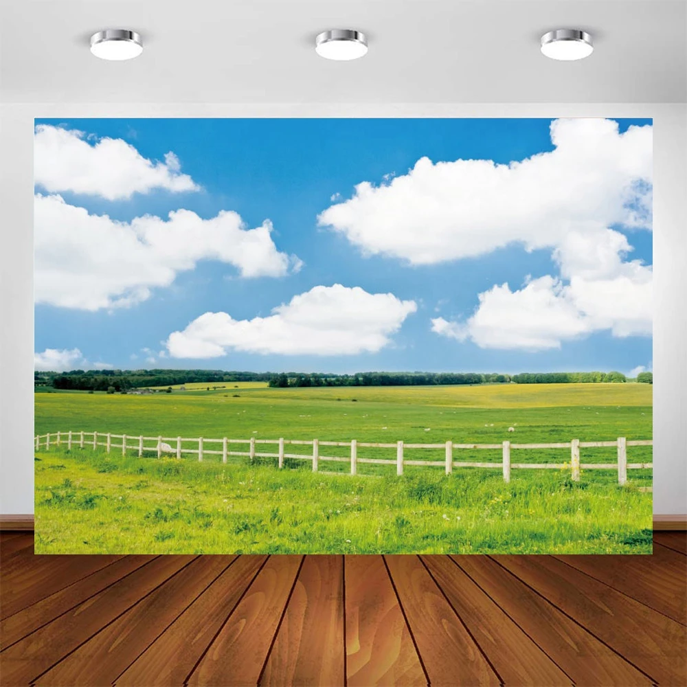 Природный пейзаж Весенняя планга синее небо облака интерьер ребенок портрет