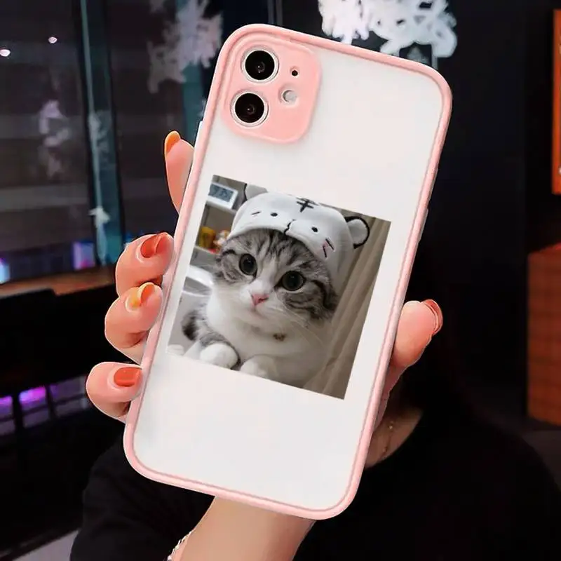 

Cute Cats New Year Gifts Phone Case Matte For iPhone 12 Mini 11 Pro XR XS Max 7 8 Plus X Hard PC Back Cover