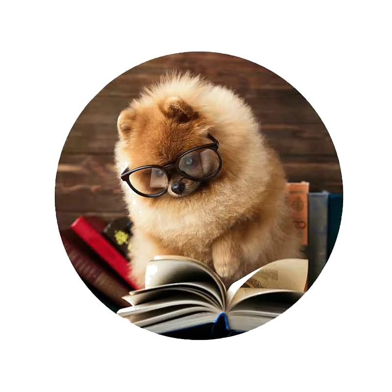 

Creative Pomeranian Dog Reading Book Car Sticker DIY Anime Fashion Automobiles Motorcycles Exterior Accessories Vinyl Decals