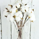 Натуральные сухие хлопковые цветы, белые декоративные искусственные цветы для дома, букет подружки невесты на свадьбу, искусственный белый цветок