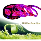 SMD5050 светодиодный светильник для выращивания растений 5 м водонепроницаемый полный спектр светодиодный Цветок фитолампа лента красный синий 5:14:13:1 для гидропоники
