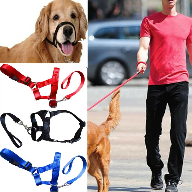 

A Training Puppy Head Collar Halter Pet Mouth Traction Set Dog Muzzle Strap Nylon Leashes S-XXL