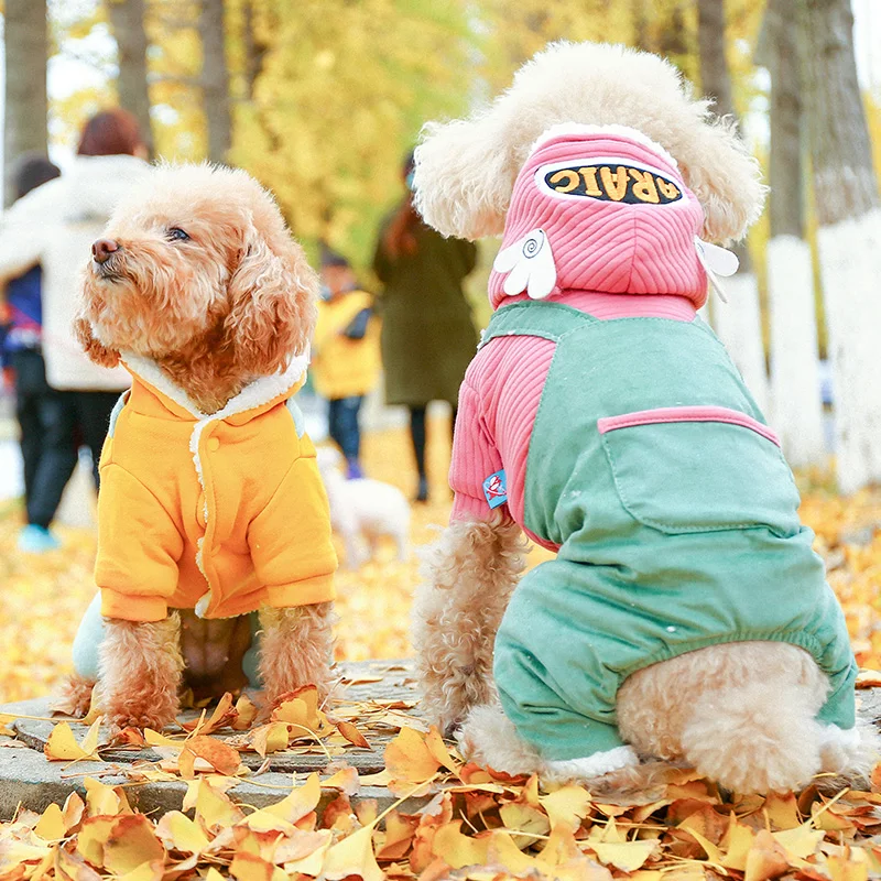 PETCIRCLE одежда для любимца Мишка своего померанского шпица сумка на плечо из кожи