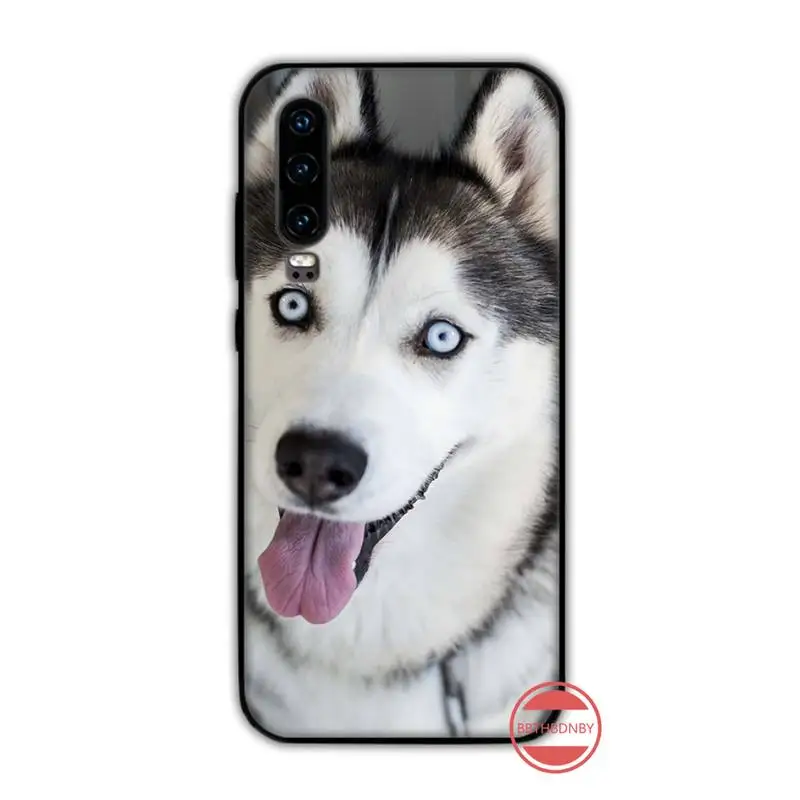 Хаски животных Собака изящный корпус под плетенную сумку чехол для телефона Funda