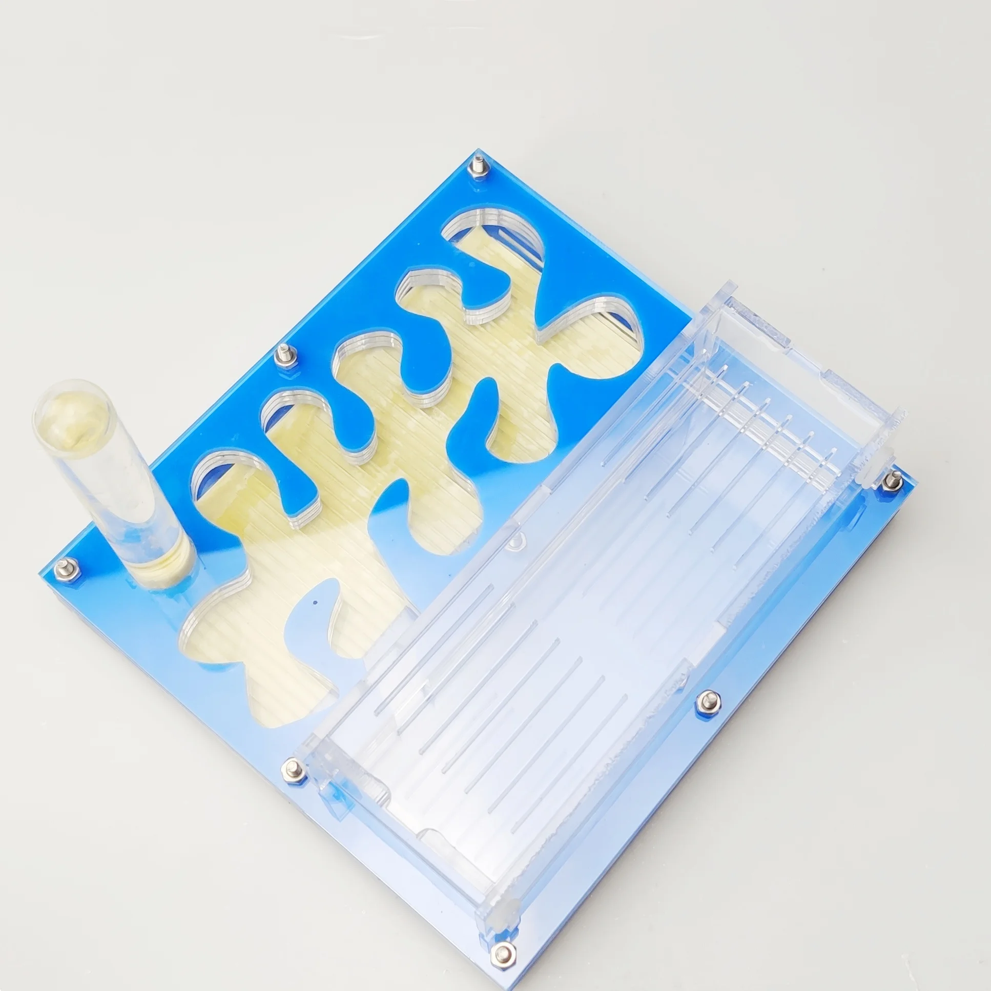 Плоские муравьиные фермы Муравьиное гнездо акриловый муравьиный дом с полной