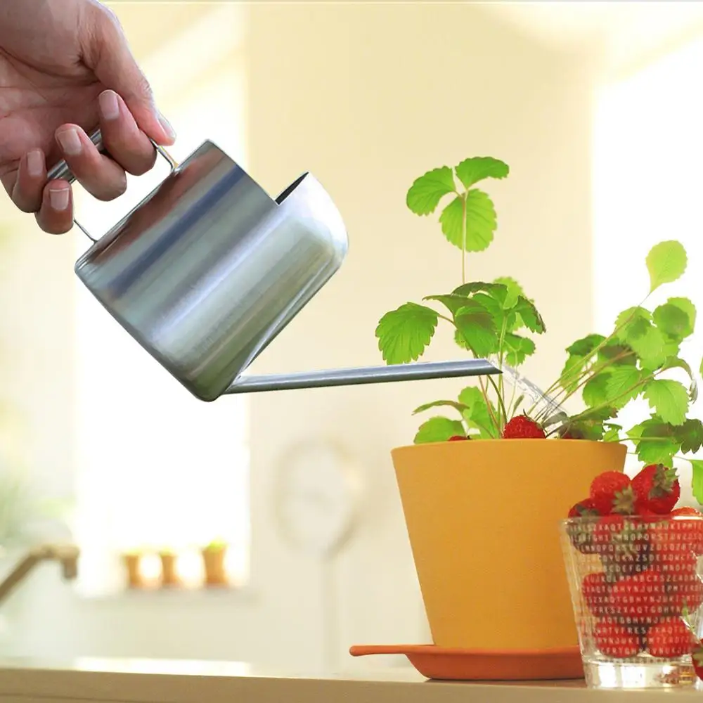 Небольшая Лейка для полива лейка из нержавеющей стали садовых растений дома и