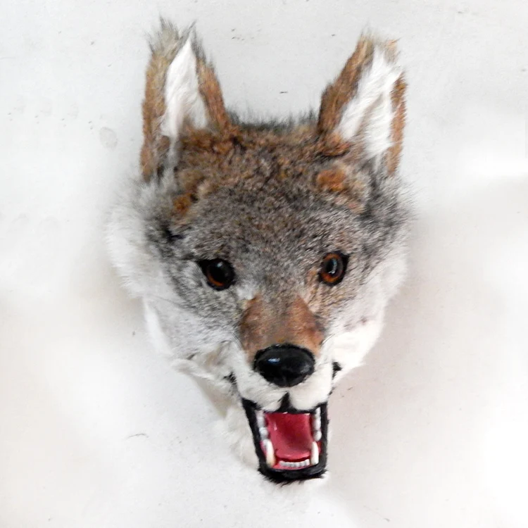 

Animal specimen lutou wall decoration fur crafts home jewelry photography props to ward off evil sculptures room wholesale