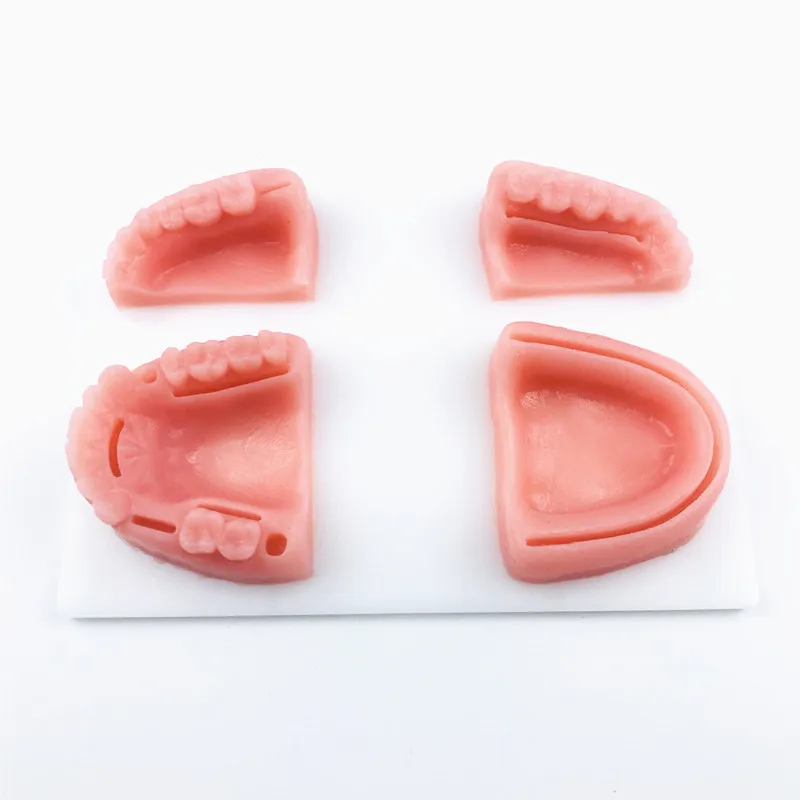 

pratice tools Dental Oral/Gum suture training module silicone periodontitis suture teeth model