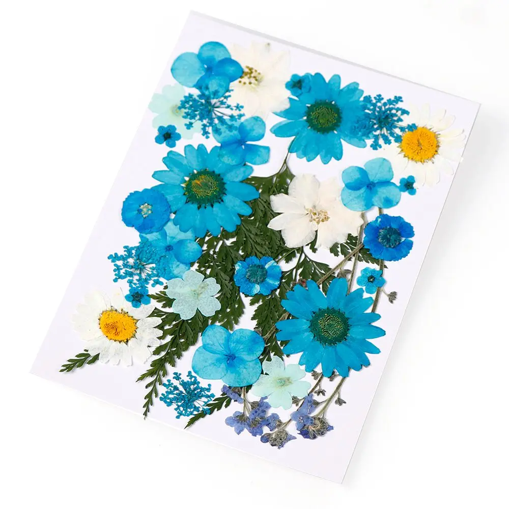 

1 Box Real Dried Flower Dry Plants For Aromatherapy Candle Epoxy Resin Pendant Necklace Jewelry Making Craft DIY Accessories