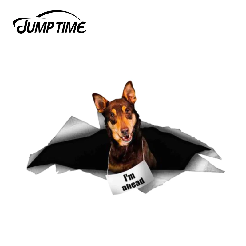 Временем скакания 13 см x 7 4 собаки домашнего питомца персонализированная