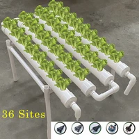 36 sites soilless culture equipment hydroponic growth system vegetable planter automatic hydroponic growing system