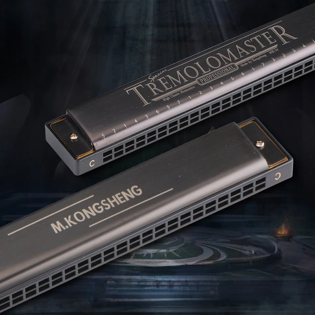 Губная гармошка 24 отверстия. Тремоло губная гармоника- hohner 2550/48. Губная гармошка тремоло. Губная гармошка harmonica. M571200 echo-harp 57.