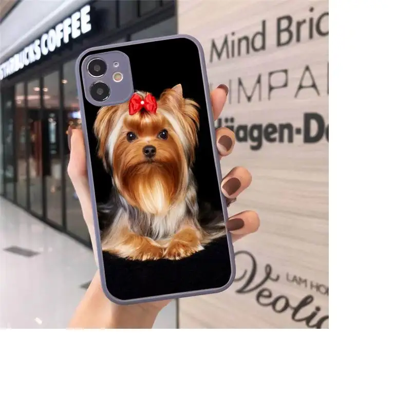 

yorkshire terrier dog Phone Case Matte Transparent for iPhone 7 8 11 12 s mini pro X XS XR MAX Plus cover funda