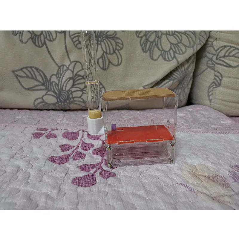 Красное плоское Муравьиное гнездо акриловая муравьиная ферма прозрачная зона