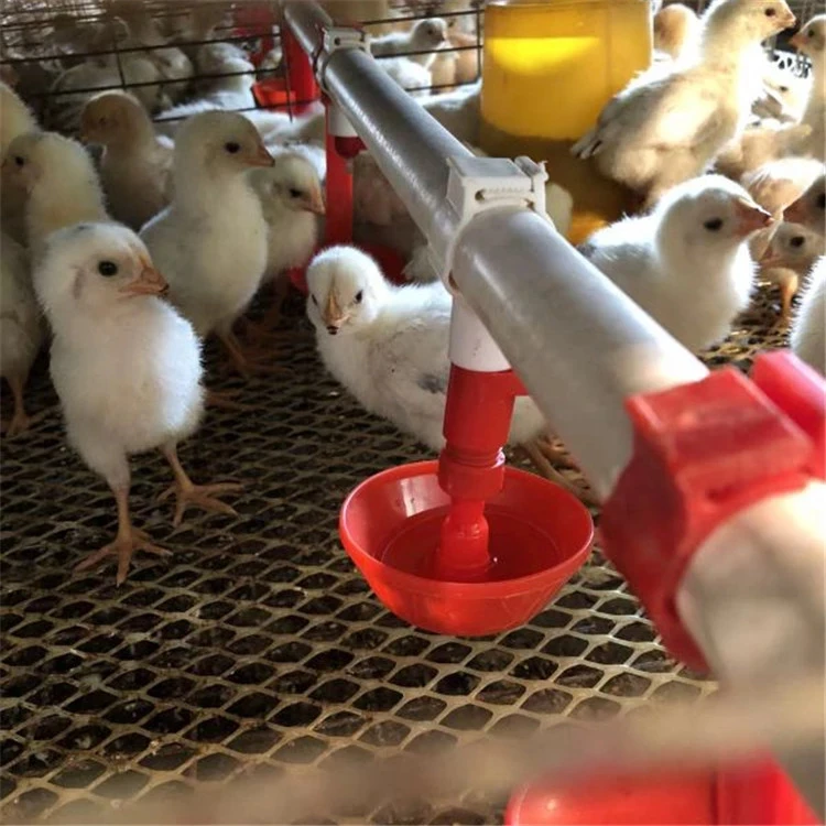 Автоматическая поилка для кур 1 комплект подвесная чаша с шариком сосков