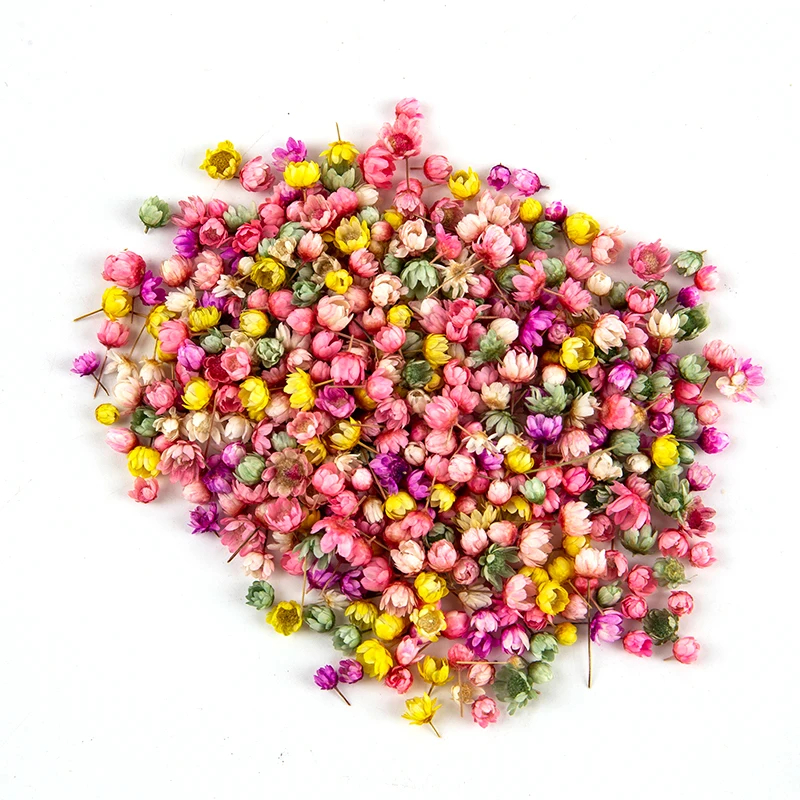 200pc Real Dried Flowers For DIY Art Craft Epoxy Resin Candle Making Jewellery Glass Cover Ball Filler Accessories - купить по